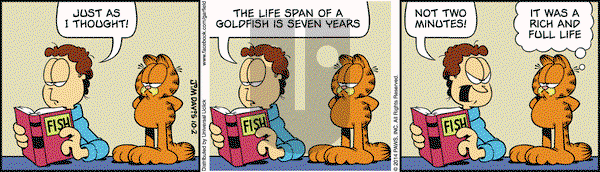 Garfield - Thursday October 2, 2014 Comic Strip