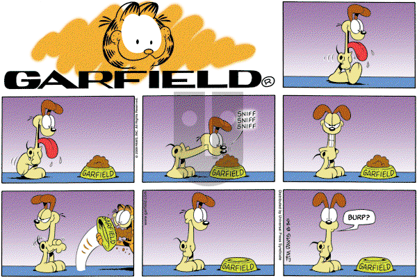 Garfield - Sunday August 30, 2009 Comic Strip