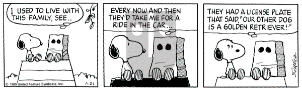 Peanuts on Saturday January 21, 1989 Comic Strip