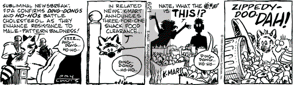 Over the Hedge on Wednesday June 21, 1995 Comic Strip