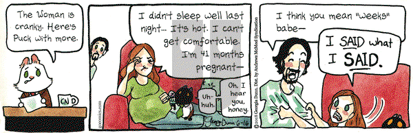Breaking Cat News on Saturday June 16, 2018 Comic Strip