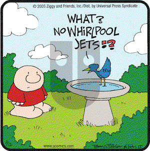 Ziggy on Wednesday February 12, 2003 Comic Strip