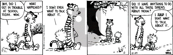Calvin and Hobbes - Thursday December 29, 1988 Comic Strip