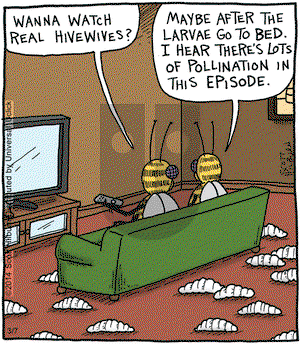 The Argyle Sweater on Friday March 7, 2014 Comic Strip
