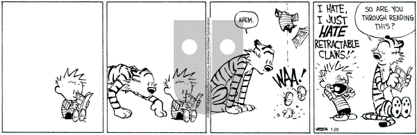 Calvin and Hobbes on Tuesday January 28, 2025 Comic Strip