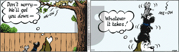 Fred Basset on Wednesday May 12, 2021 Comic Strip