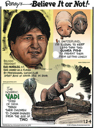 Ripley's Believe It or Not - Thursday December 4, 2014 Comic Strip