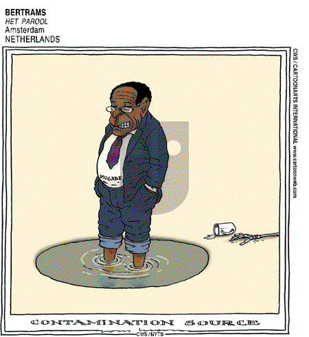 ViewsAfrica on Tuesday December 16, 2008 Comic Strip