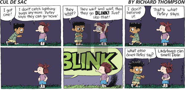 Cul de Sac - Sunday July 27, 2014 Comic Strip