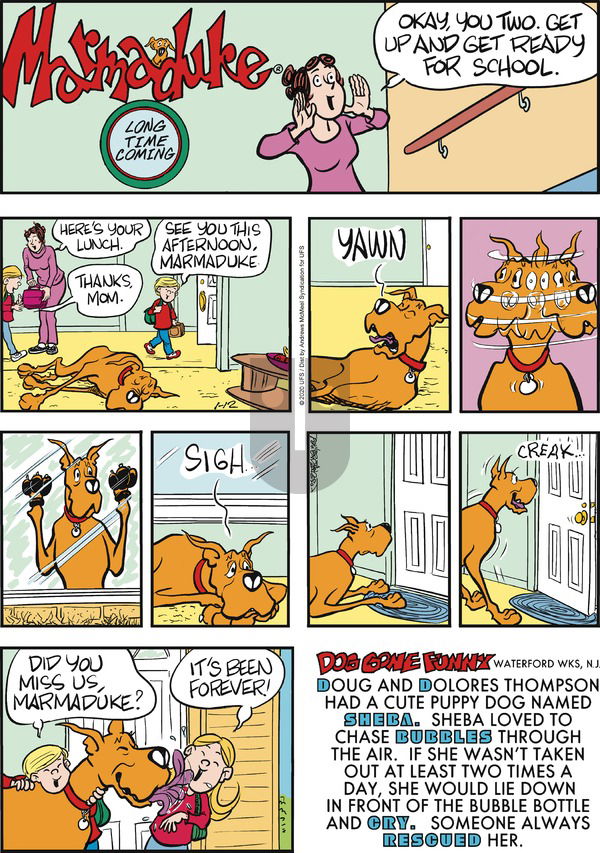 Marmaduke on Sunday January 12, 2020 Comic Strip