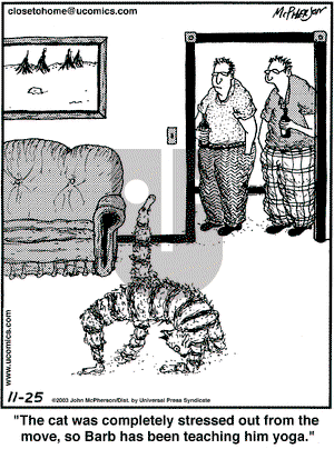 Close to Home on Tuesday November 25, 2003 Comic Strip