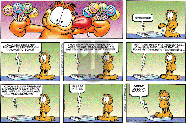 Garfield on Sunday November 16, 2008 Comic Strip