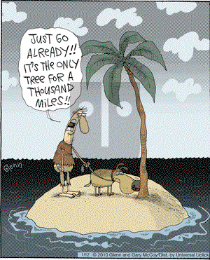 The Flying McCoys - Thursday January 12, 2012 Comic Strip