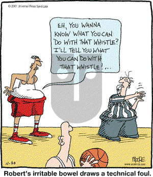 In the Bleachers on Friday November 30, 2001 Comic Strip