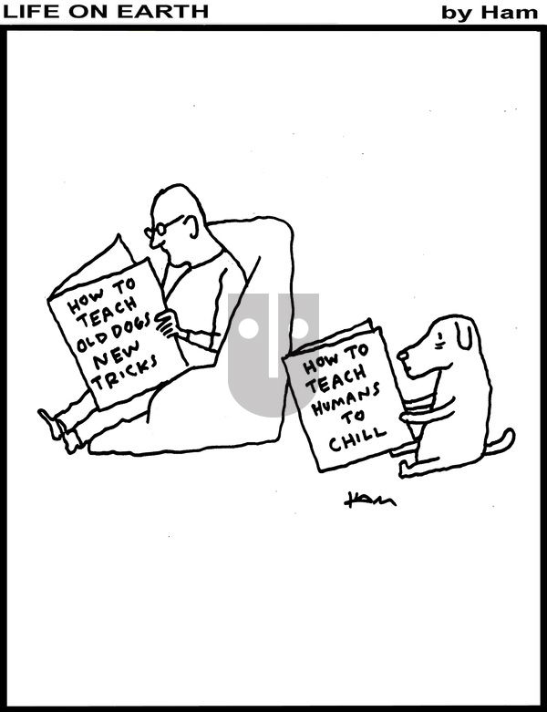 Life on Earth on Monday May 26, 2025 Comic Strip