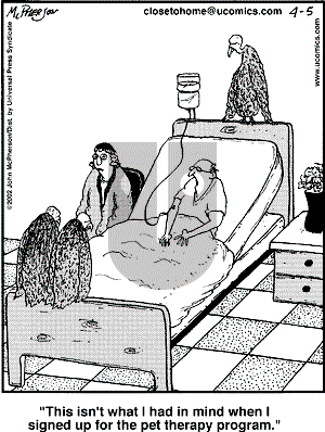 Close to Home - Friday April 5, 2002 Comic Strip