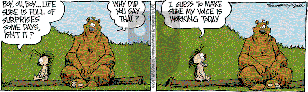 The Grizzwells on Wednesday November 22, 2017 Comic Strip