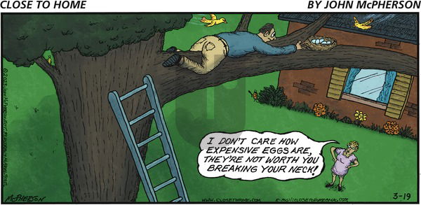 Close to Home on Sunday March 19, 2023 Comic Strip