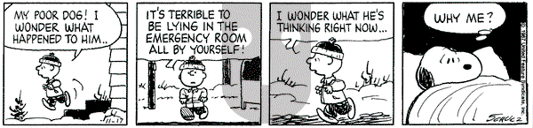 Peanuts on Tuesday November 17, 1987 Comic Strip