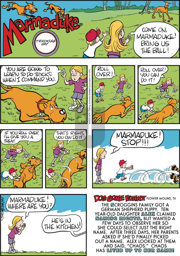 Marmaduke on Sunday July 12, 2020 Comic Strip