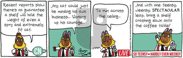 Breaking Cat News on Wednesday January 30, 2019 Comic Strip