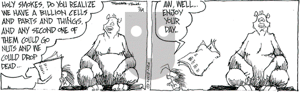 The Grizzwells on Tuesday July 29, 2008 Comic Strip