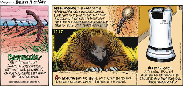 Ripley's Believe It or Not on Sunday October 17, 2021 Comic Strip