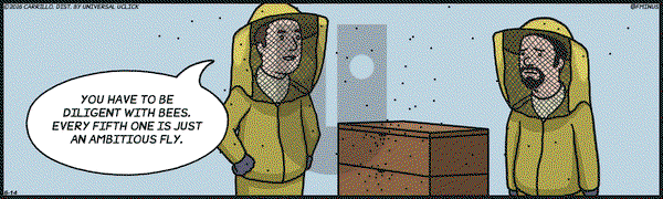 F Minus on Tuesday June 14, 2016 Comic Strip