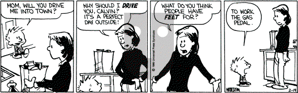 Calvin and Hobbes on Wednesday February 19, 1986 Comic Strip