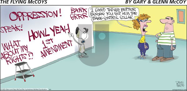 The Flying McCoys - Sunday June 4, 2023 Comic Strip