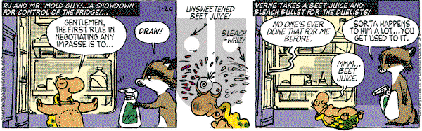 Over the Hedge on Friday July 20, 2012 Comic Strip