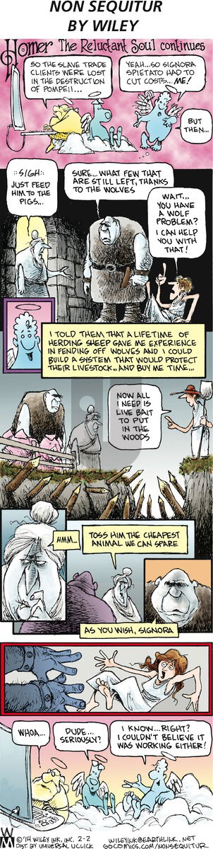 Non Sequitur on Sunday February 2, 2014 Comic Strip