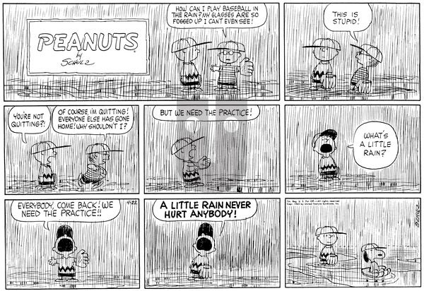 Peanuts on Sunday April 22, 1962 Comic Strip
