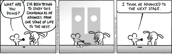 Pearls Before Swine on Monday June 20, 2005 Comic Strip