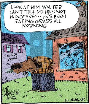 Reality Check on Saturday August 11, 2012 Comic Strip