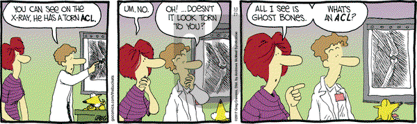 The Buckets on Tuesday October 17, 2017 Comic Strip