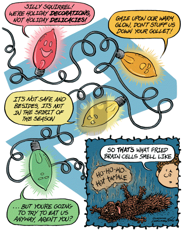 Home Free on Wednesday December 18, 2024 Comic Strip