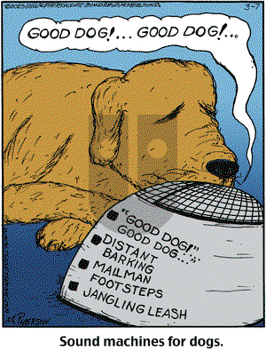 Close to Home on Friday March 7, 2025 Comic Strip