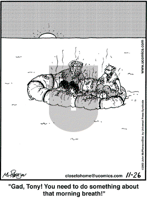 Close to Home on Wednesday November 26, 2003 Comic Strip