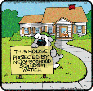 Ziggy on Friday May 1, 2015 Comic Strip