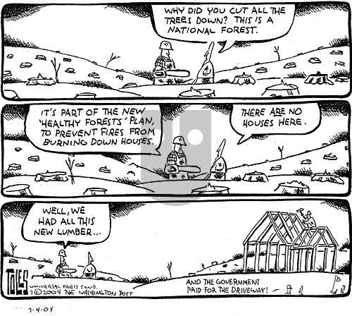 Tom Toles - Sunday July 4, 2004 Comic Strip