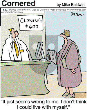 Cornered on Tuesday January 24, 2006 Comic Strip