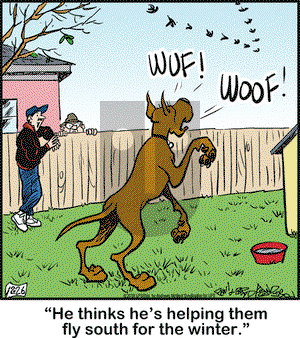 Marmaduke on Wednesday December 26, 2018 Comic Strip