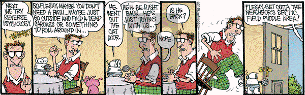 Monty on Friday February 8, 2019 Comic Strip