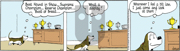 Fred Basset - Friday September 13, 2024 Comic Strip