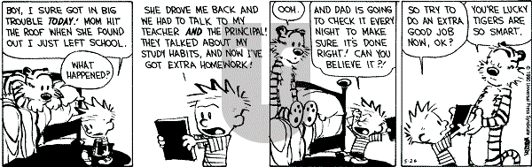 Calvin and Hobbes - Saturday May 26, 1990 Comic Strip