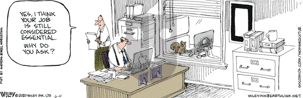 Non Sequitur on Thursday June 4, 2020 Comic Strip