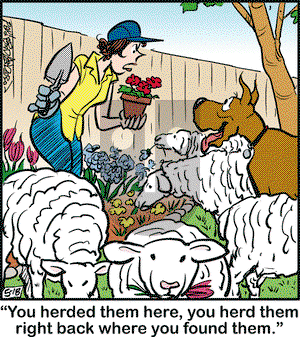 Marmaduke on Saturday May 18, 2019 Comic Strip