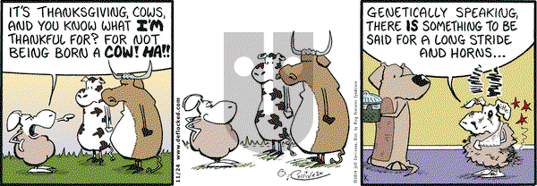 DeFlocked on Monday November 24, 2014 Comic Strip