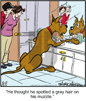 Marmaduke on Thursday February 7, 2013 Comic Strip